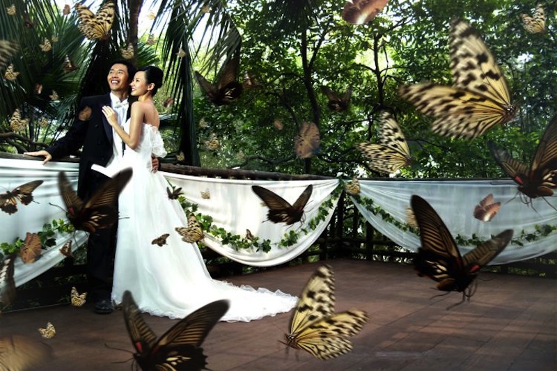 Top wedding venues in Singapore: 20 picture-perfect places to get married