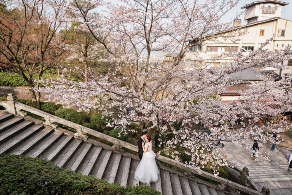 Kent Wong Photography