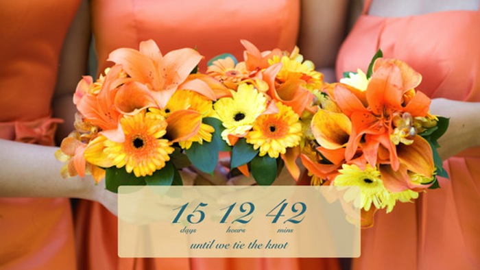 Wedding planning apps: 5 useful apps for brides to download Honeybrides